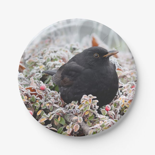 Plato De Papel Winter Blackbird (Anverso)