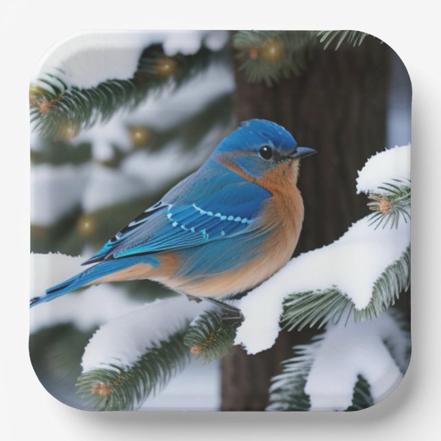 Plato De Papel Winter Bluebird (Anverso)