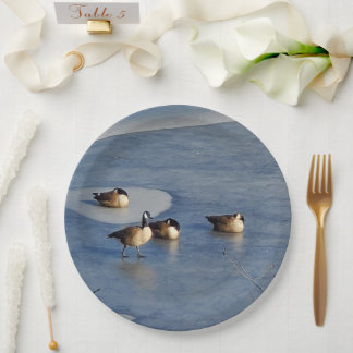 Plato De Papel Winter Lake Geese y Goose Ice Napping