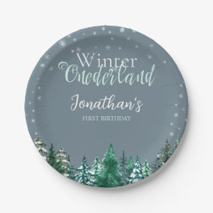 Plato De Papel Winter Onederland Primer cumpleaños paisaje nevado