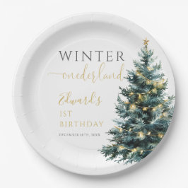 Plato De Papel Winter Onederland Primer Fiesta de cumpleaños