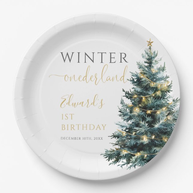 Plato De Papel Winter Onederland Primer Fiesta de cumpleaños (Anverso)