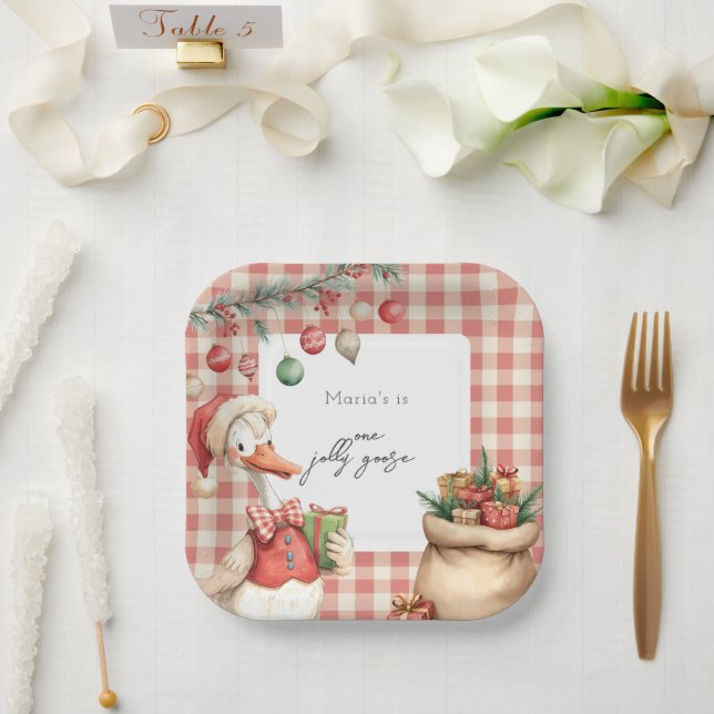 Plato De Papel Winter Red Christmas Silly Goose  1st birthday (Boda)