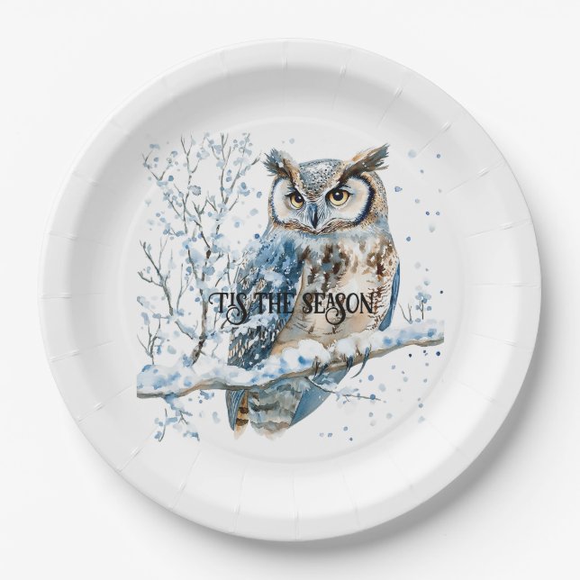 Plato De Papel Winter Snowflakes Blue Owl Christmas Snow (Anverso)