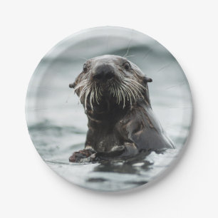 Plato De Papel Wise Otter