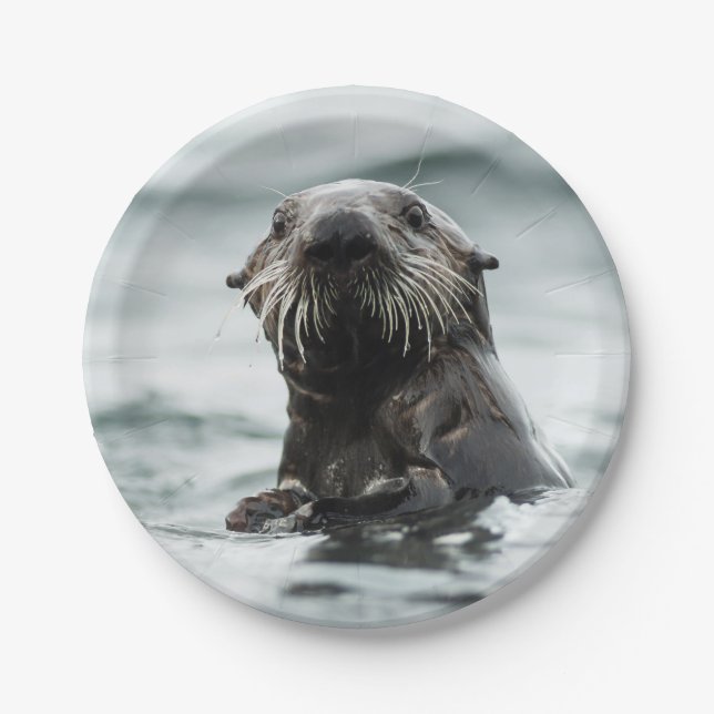 Plato De Papel Wise Otter (Anverso)