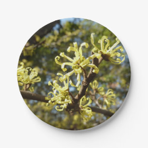 Plato De Papel Witch Hazel Flowers
