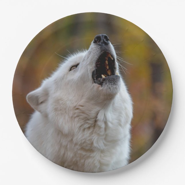 Plato De Papel Wolf en otoño (Anverso)