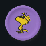 Plato De Papel Woodstock en gafas de sol<br><div class="desc">Añade un ambiente fresco a tu fiesta con estos divertidos platos de papel con Woodstock meciendo un par de elegantes gafas de sol. Perfecto para reuniones informales,  cumpleaños o eventos al aire libre,  este diseño lúdico le aporta un toque de encanto y personalidad a su mesa.</div>