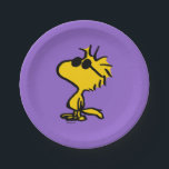 Plato De Papel Woodstock en gafas de sol<br><div class="desc">Añade un ambiente fresco a tu fiesta con estos divertidos platos de papel con Woodstock meciendo un par de elegantes gafas de sol. Perfecto para reuniones informales,  cumpleaños o eventos al aire libre,  este diseño lúdico le aporta un toque de encanto y personalidad a su mesa.</div>