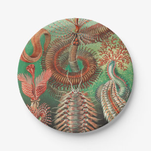 Plato De Papel Worms, Annelids Chaetopoda por Ernst Haeckel