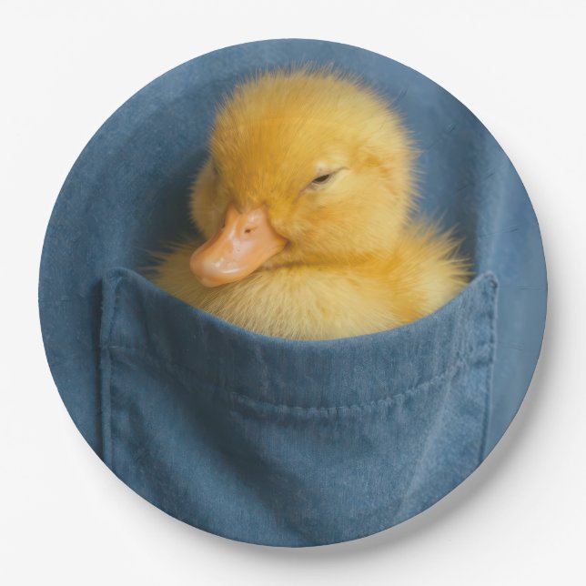 Plato De Papel Yellow Duckling In a T-shirt Pocket (Anverso)