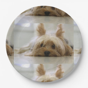 Plato De Papel Yorkshire-Terrier flat.png