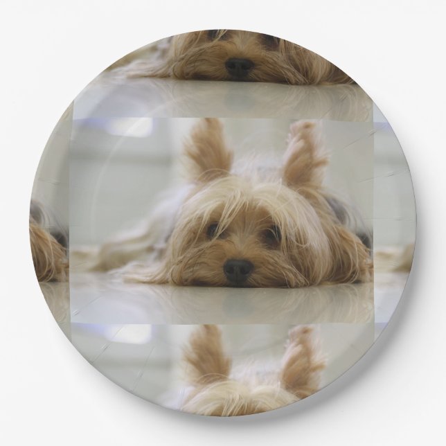 Plato De Papel Yorkshire-Terrier flat.png (Anverso)