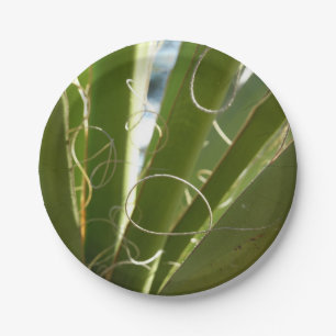 Plato De Papel Yucca deja fotografía verde de la naturaleza