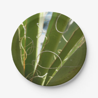 Plato De Papel Yucca deja fotografía verde de la naturaleza