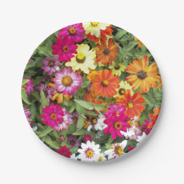 Plato De Papel Zinnia Flower Garden Floral