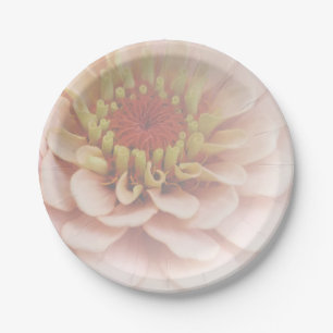 Plato De Papel Zinnia Placas De Papel Peach Palo