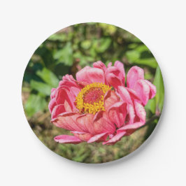 Plato De Papel Zinnia rosa con centro amarillo