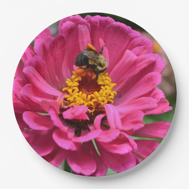 Plato De Papel Zinnia rosa y abeja de burbujas (Anverso)