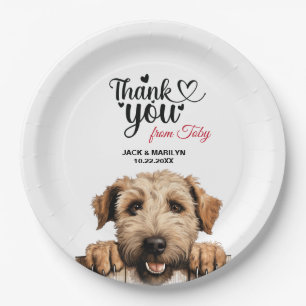 Plato De Papel Zorro de reducción blanda recubierto