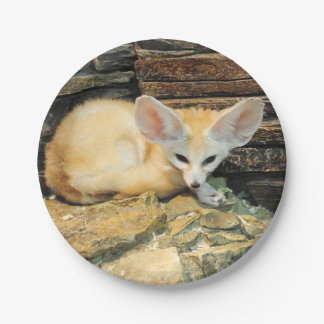 Plato De Papel Zorro lindo del fennec