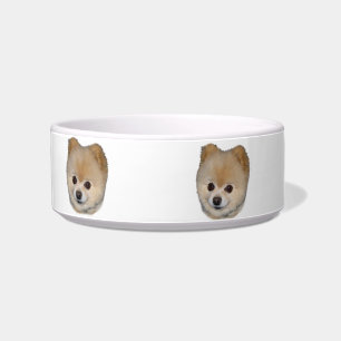 Plato del mascota del perro de Pomeranian