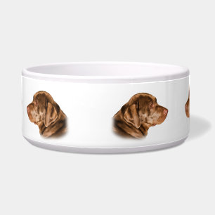 Plato del perro del labrador retriever,