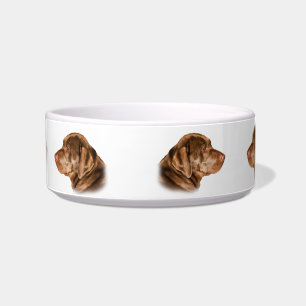 Plato del perro del labrador retriever,