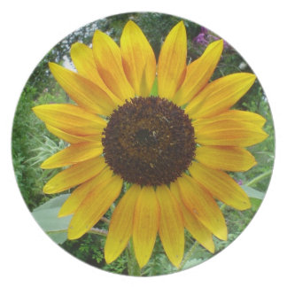 Plato Flor del Caribe de Sun