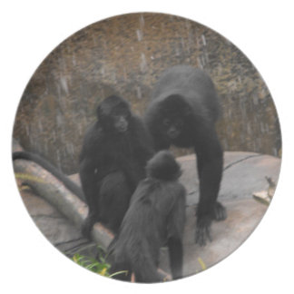 Plato Mercancías de la cena del Araña-Mono