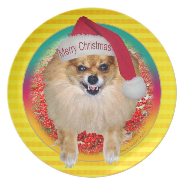 Plato Mún Santa Pomeranian amarillo de la placa el | (Frente)
