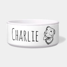 Plato personalizado de la comida o del agua de