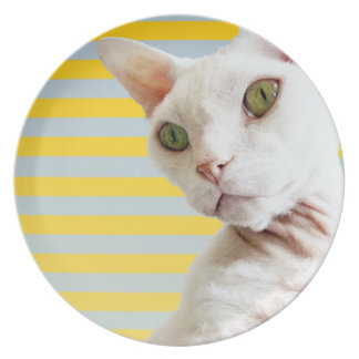 Plato Placa blanca del gato de Devon Rex de la raya