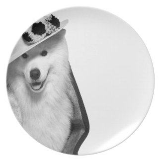 Plato Samoyed Plano