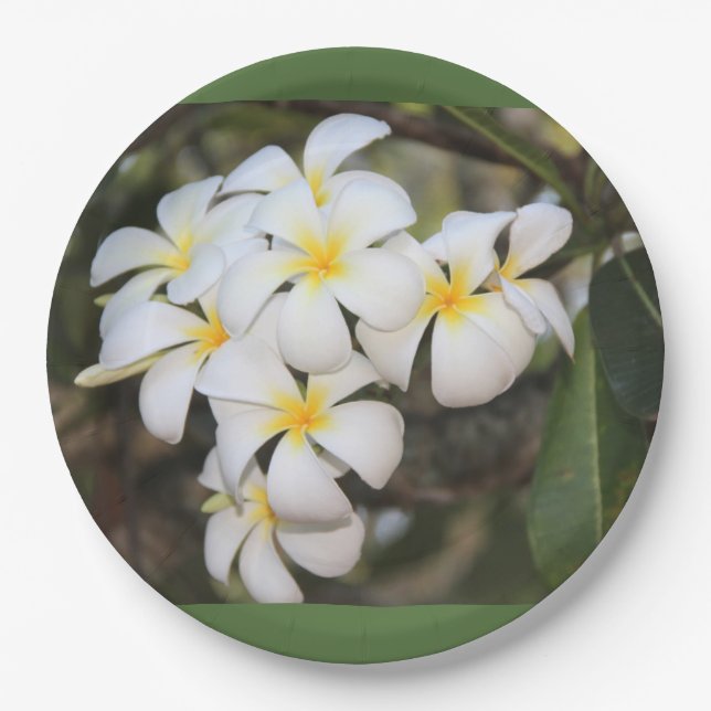 platos con flores tropicales, plumeria (Anverso)