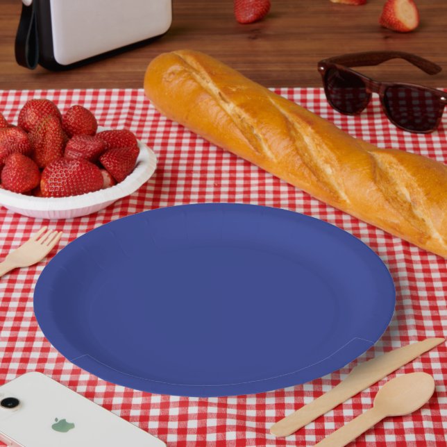 Platos de fiesta azules Platos de papel Navy Event (Picnic)