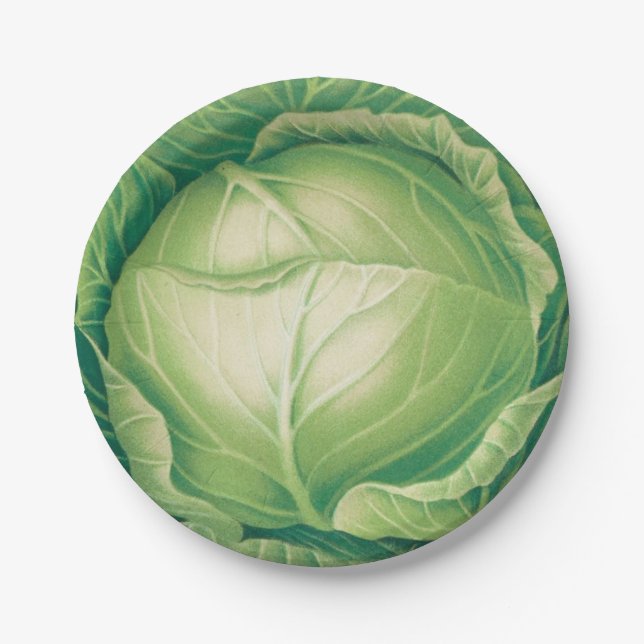 Platos de papel Cabbageware (Anverso)