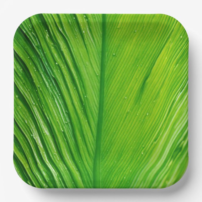 Platos de papel con diseño de hojas (Anverso)