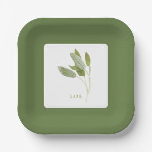 PLATOS DE PAPEL CUADRADOS DE 7" CON SALVIA FRESCA