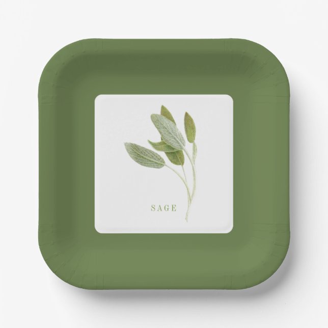 PLATOS DE PAPEL CUADRADOS DE 7" CON SALVIA FRESCA  (Anverso)
