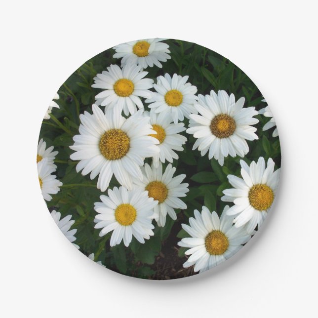 Platos de Papel Daisy Delight (Anverso)