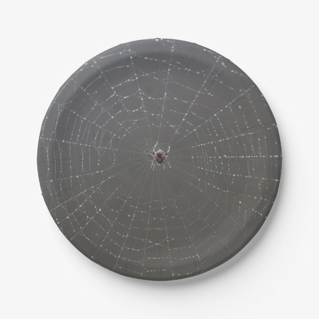 Platos de papel de araña (Anverso)