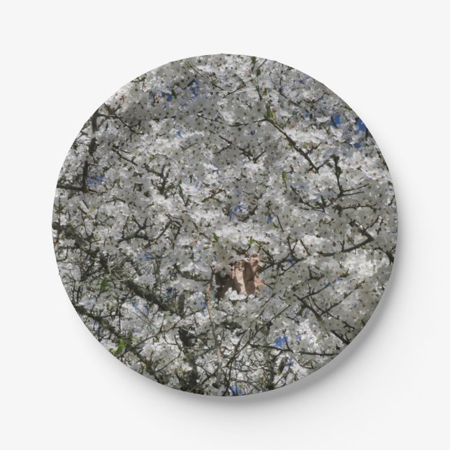 Platos de papel de flor de Mirabelle (Anverso)
