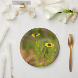 Platos de papel de flor de Susana de ojos negros