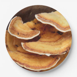 Platos de papel de hongos Stereum Hirsutum