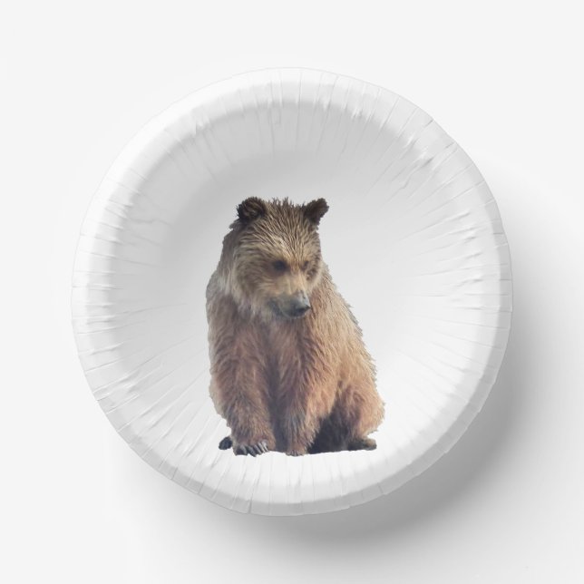 platos de papel de oso pardo tazones de papel (Anverso)