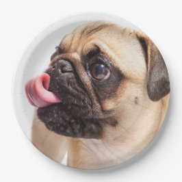 Platos de papel de perro 4