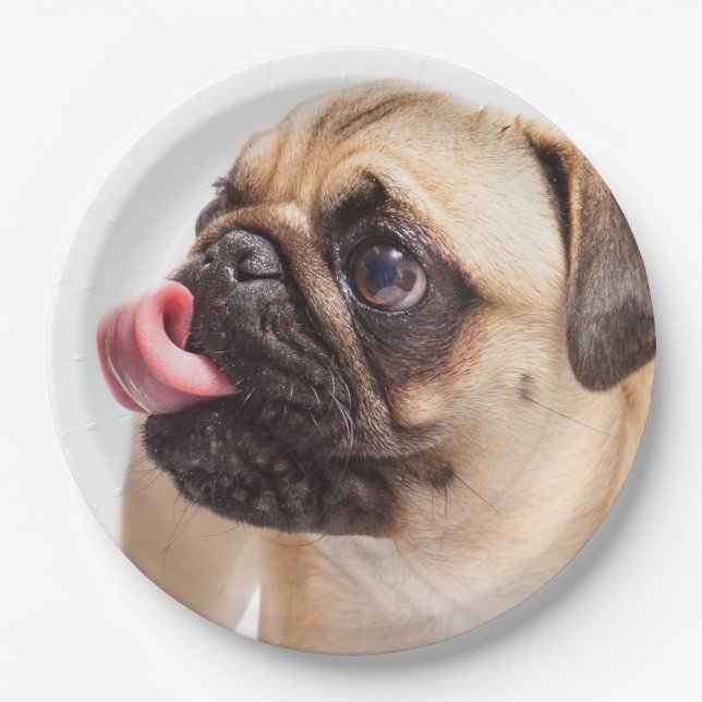 Platos de papel de perro 4 (Anverso)