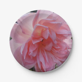 Platos de papel de rosa rosa para tu fiesta o even